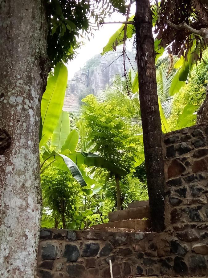 Forest Rawana Homestay Ella Esterno foto