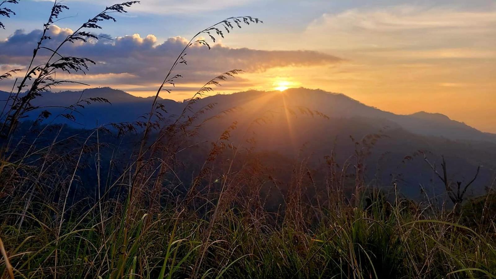 Forest Rawana Homestay Ella Esterno foto