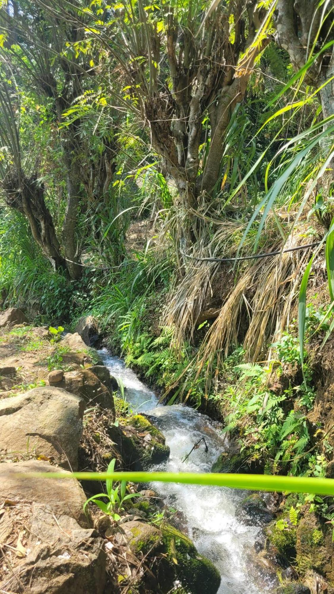 Forest Rawana Homestay Ella Esterno foto