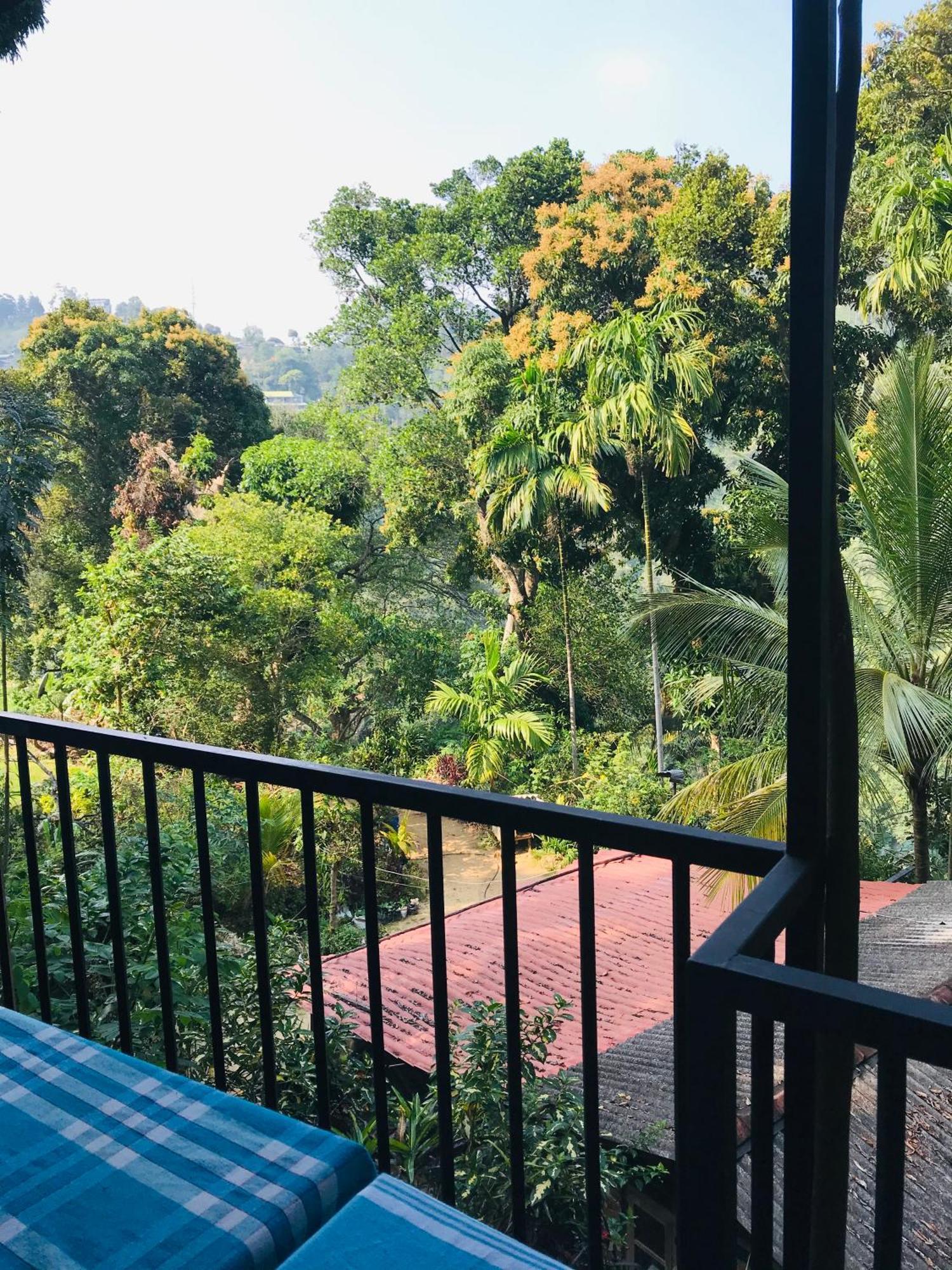 Forest Rawana Homestay Ella Esterno foto