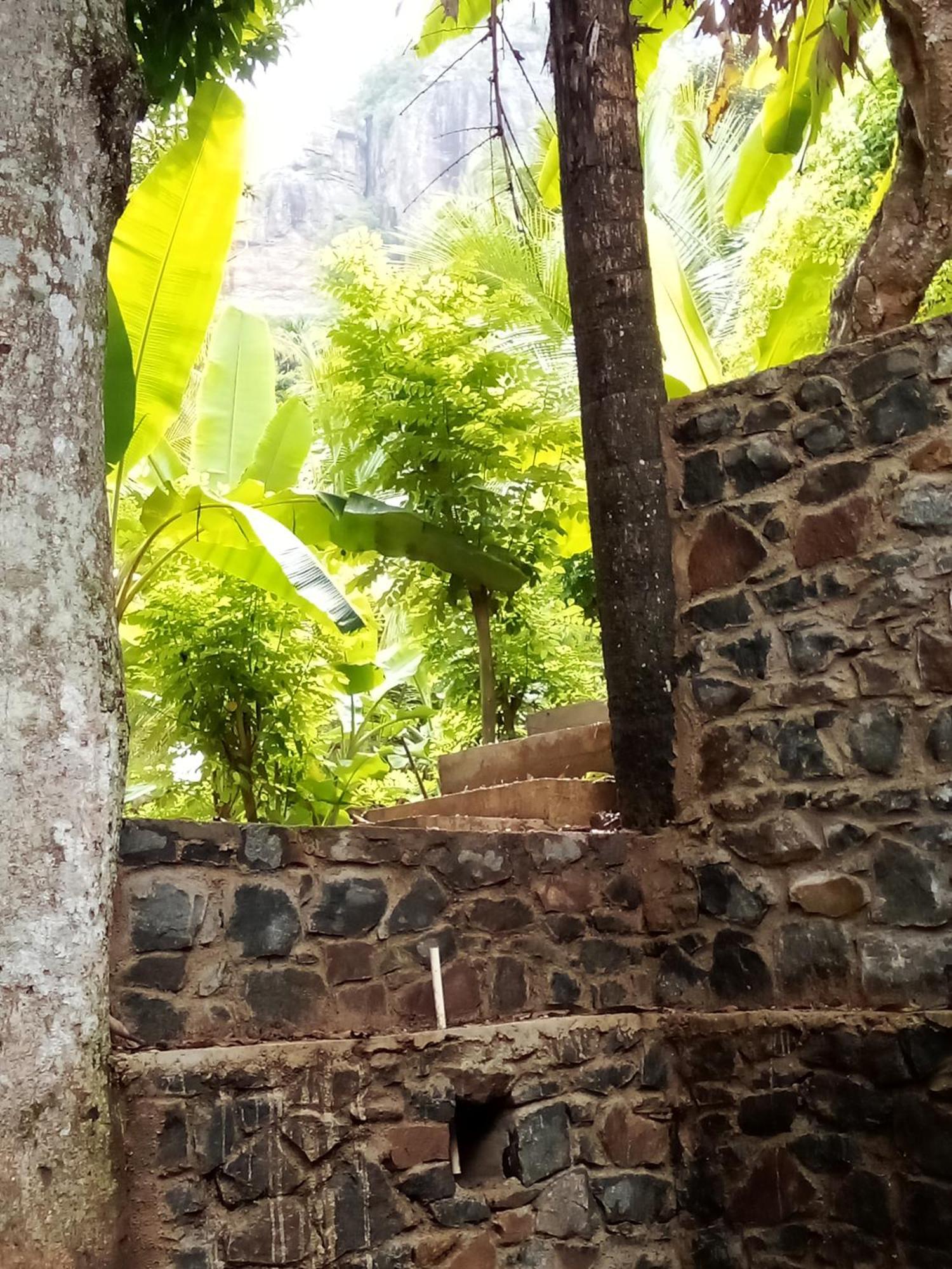 Forest Rawana Homestay Ella Esterno foto