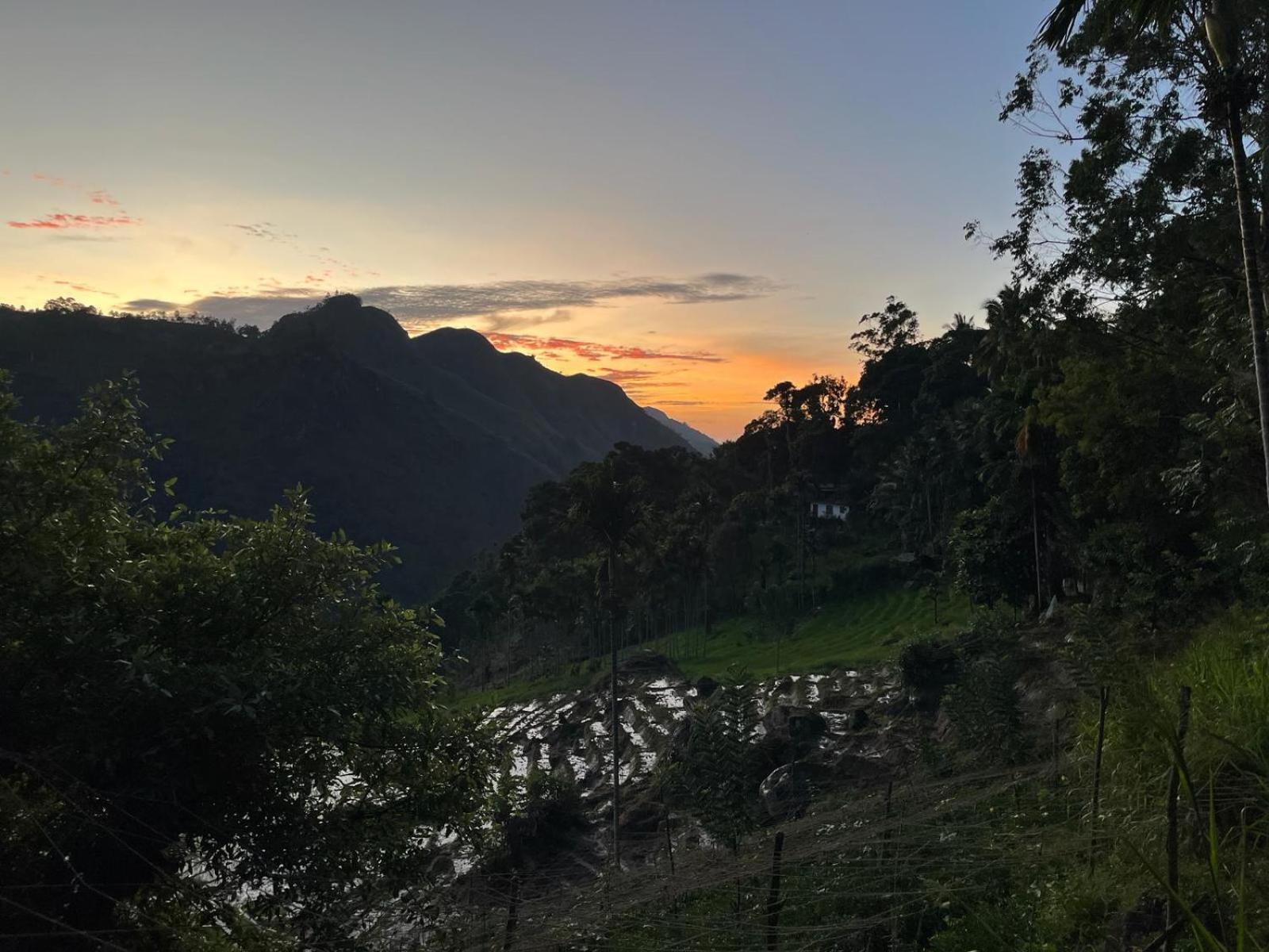 Forest Rawana Homestay Ella Esterno foto