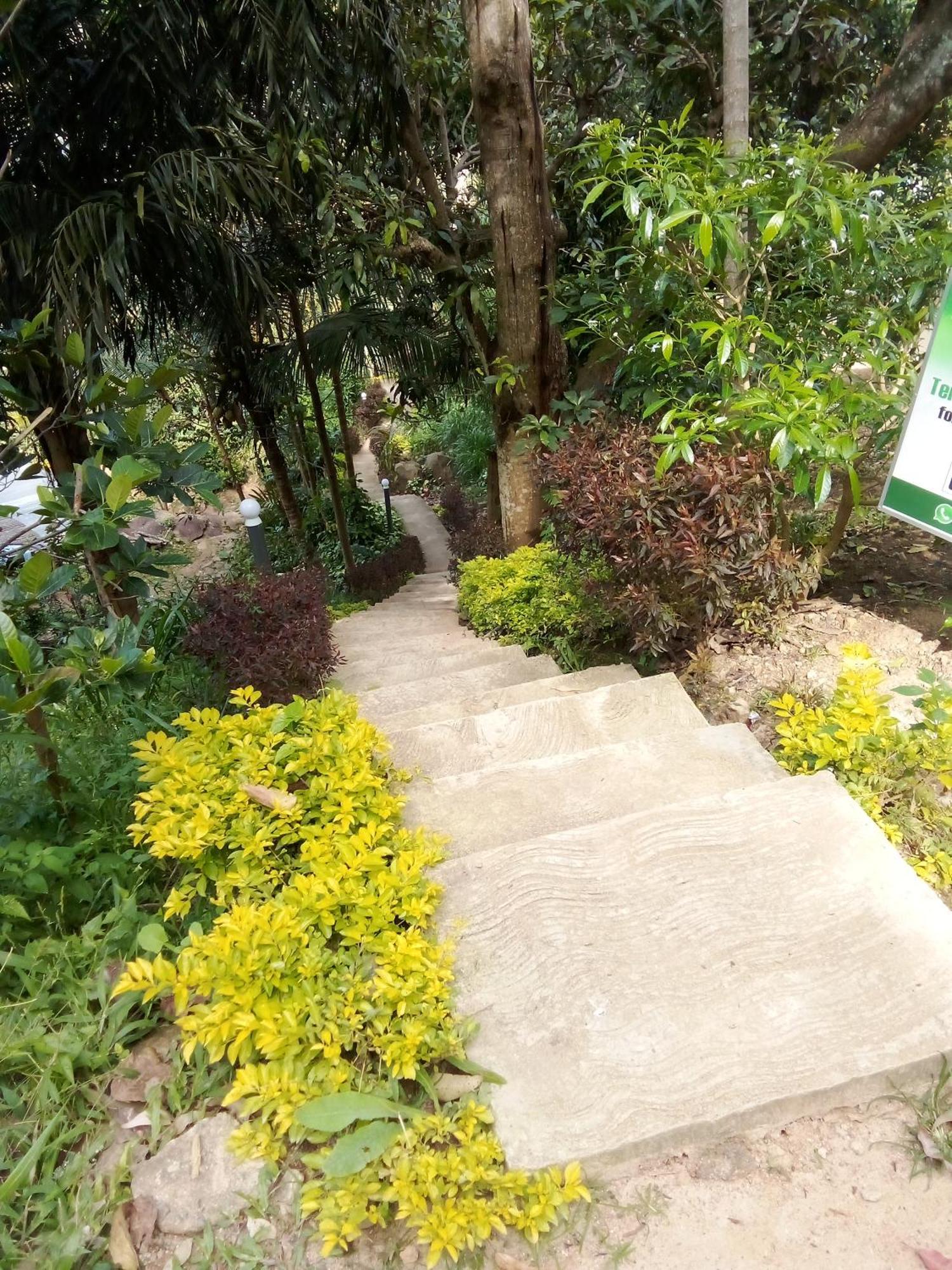 Forest Rawana Homestay Ella Esterno foto