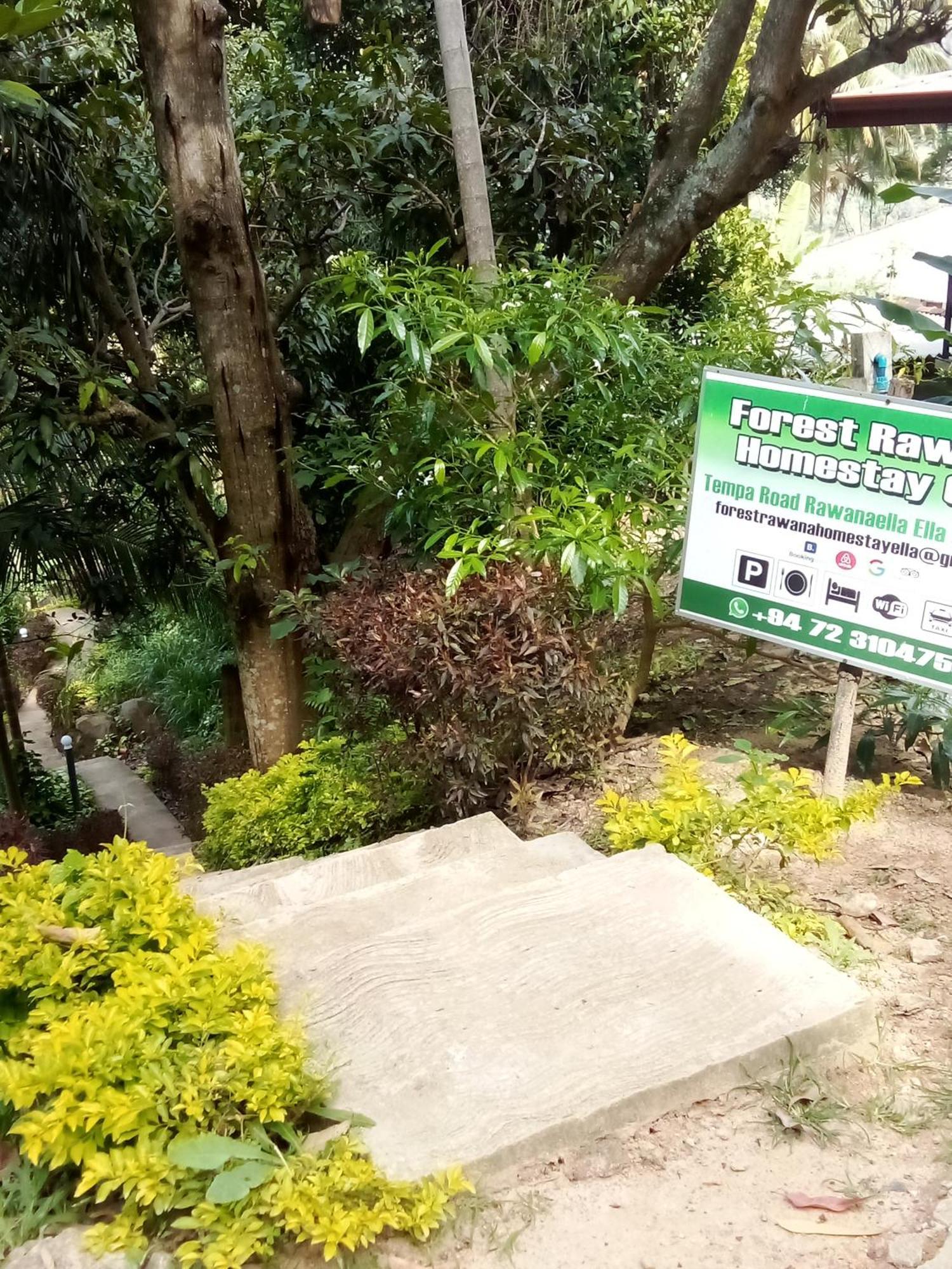 Forest Rawana Homestay Ella Esterno foto